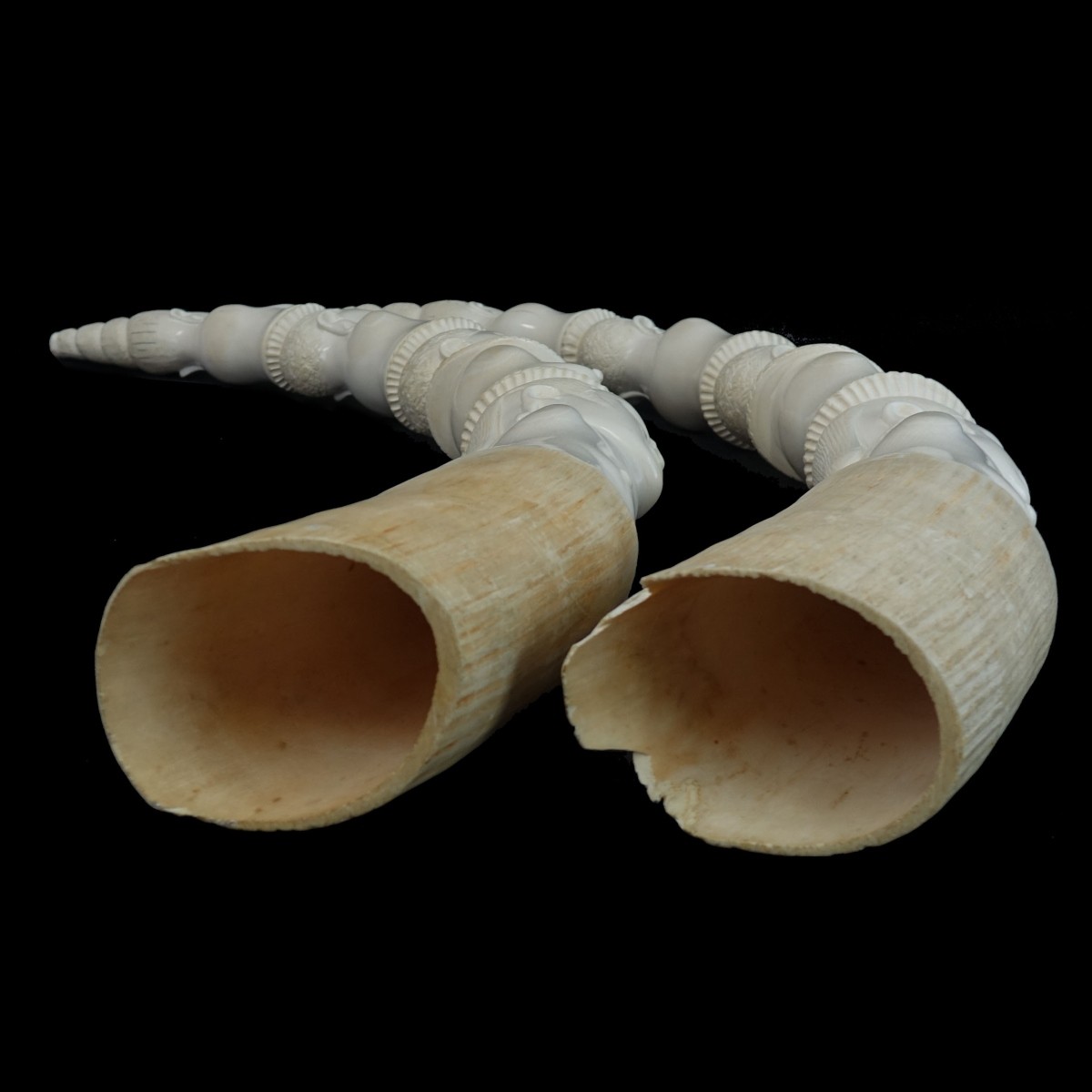 Pair of African Tusks