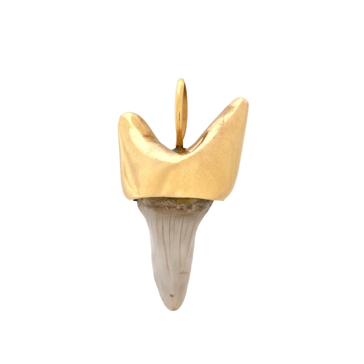 Shark Tooth and 14K Pendant