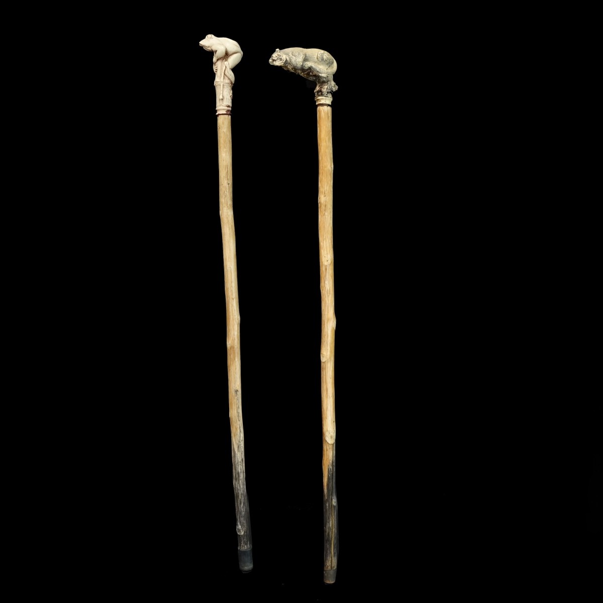 Walking Sticks