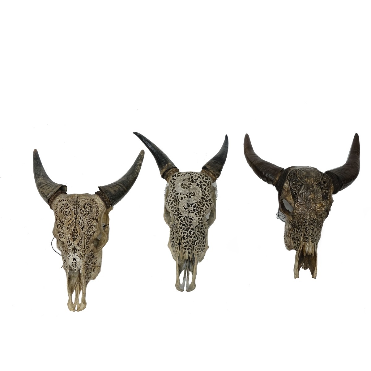 Tibetan Skulls