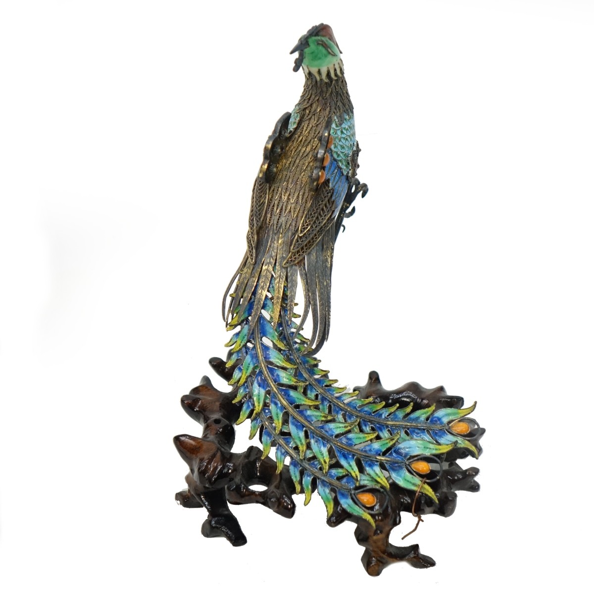 Chinese Peacock