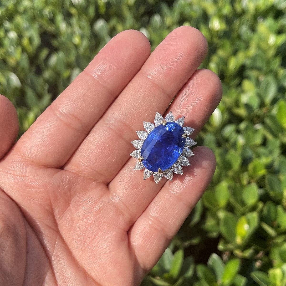 GIA / AGL 33.64 Ceylon Sapphire Ring