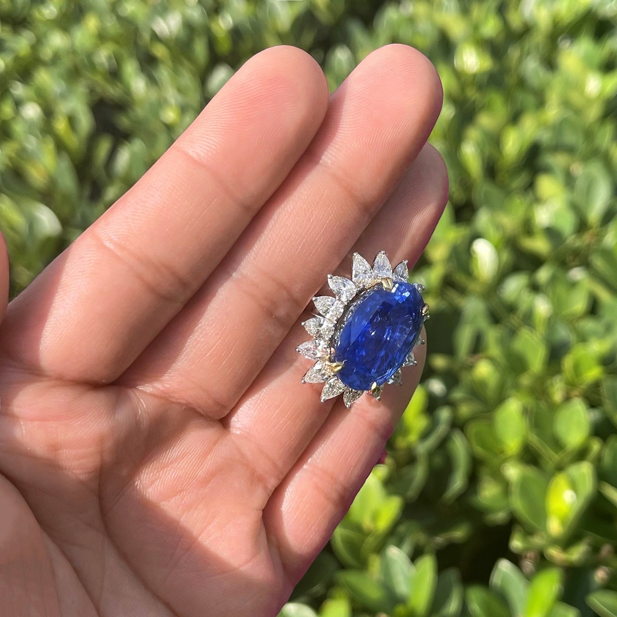 GIA / AGL 33.64 Ceylon Sapphire Ring