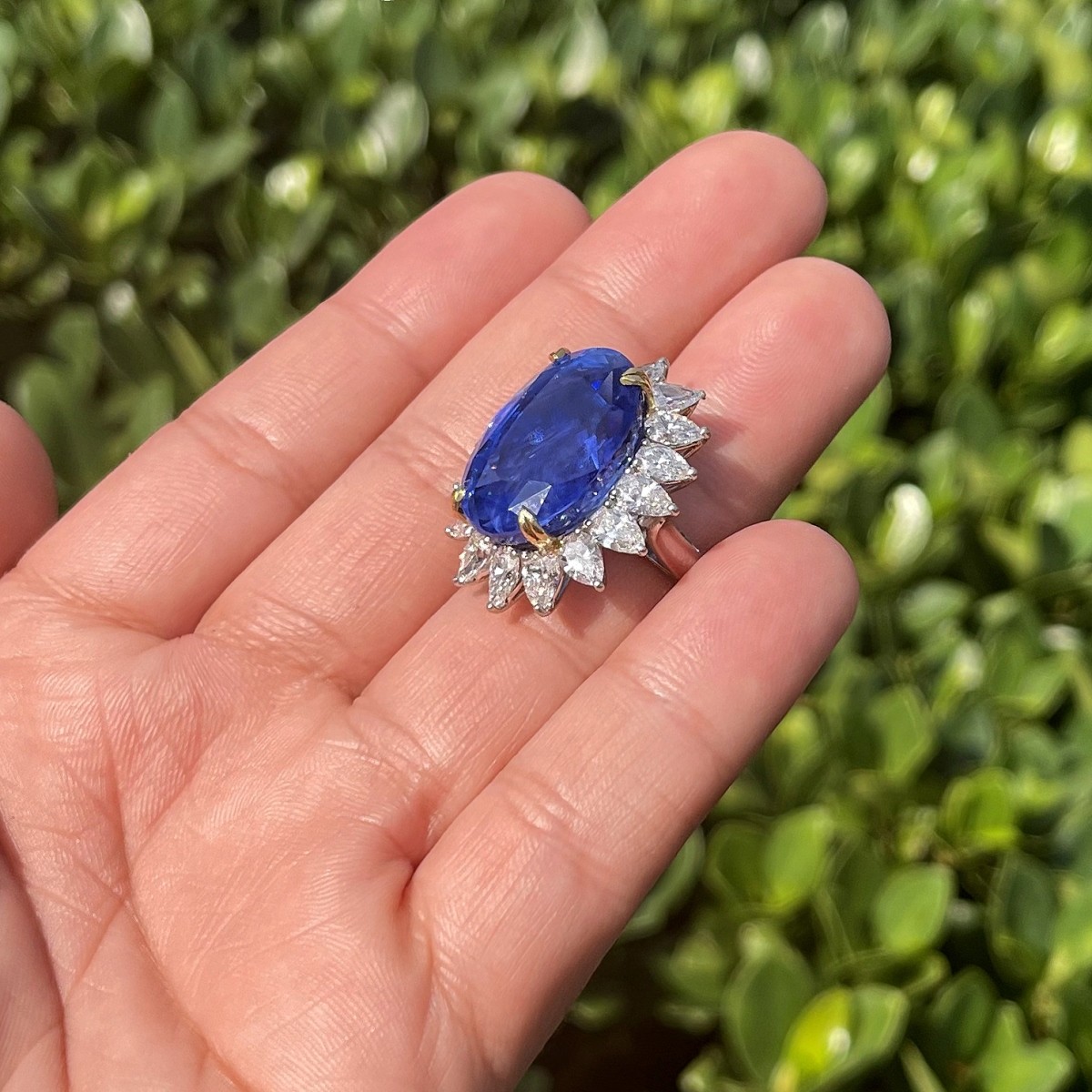 GIA / AGL 33.64 Ceylon Sapphire Ring