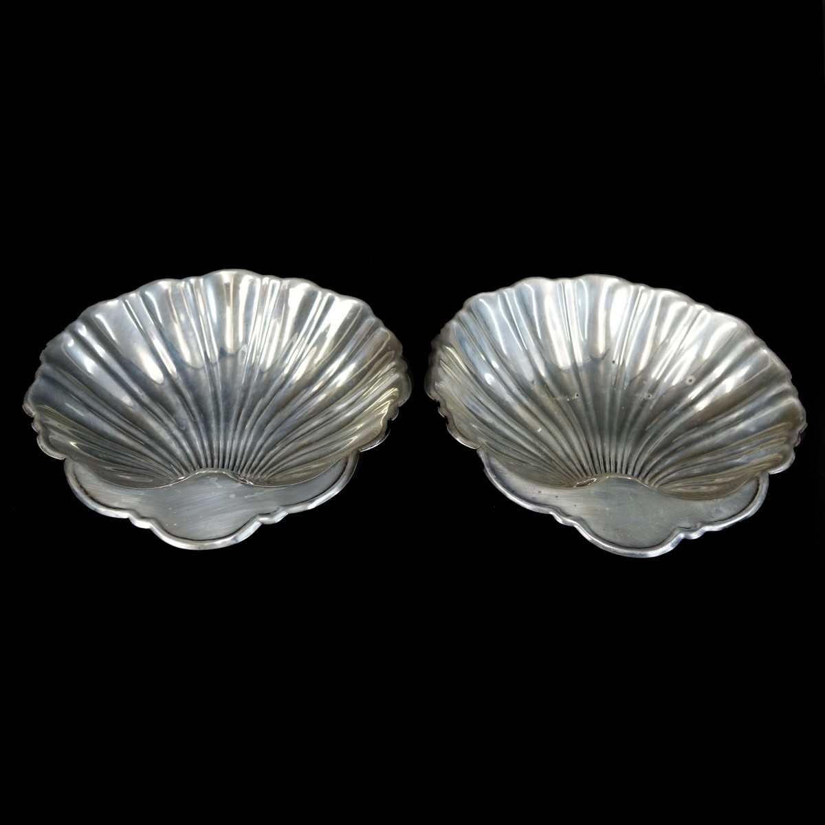 Shell Dishes