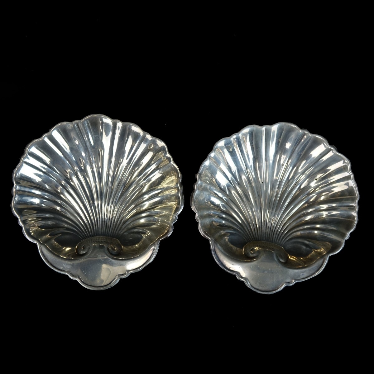 Shell Dishes