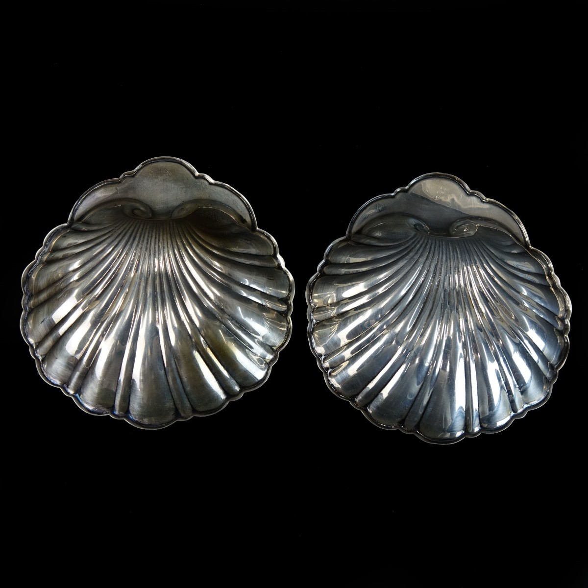 Shell Dishes