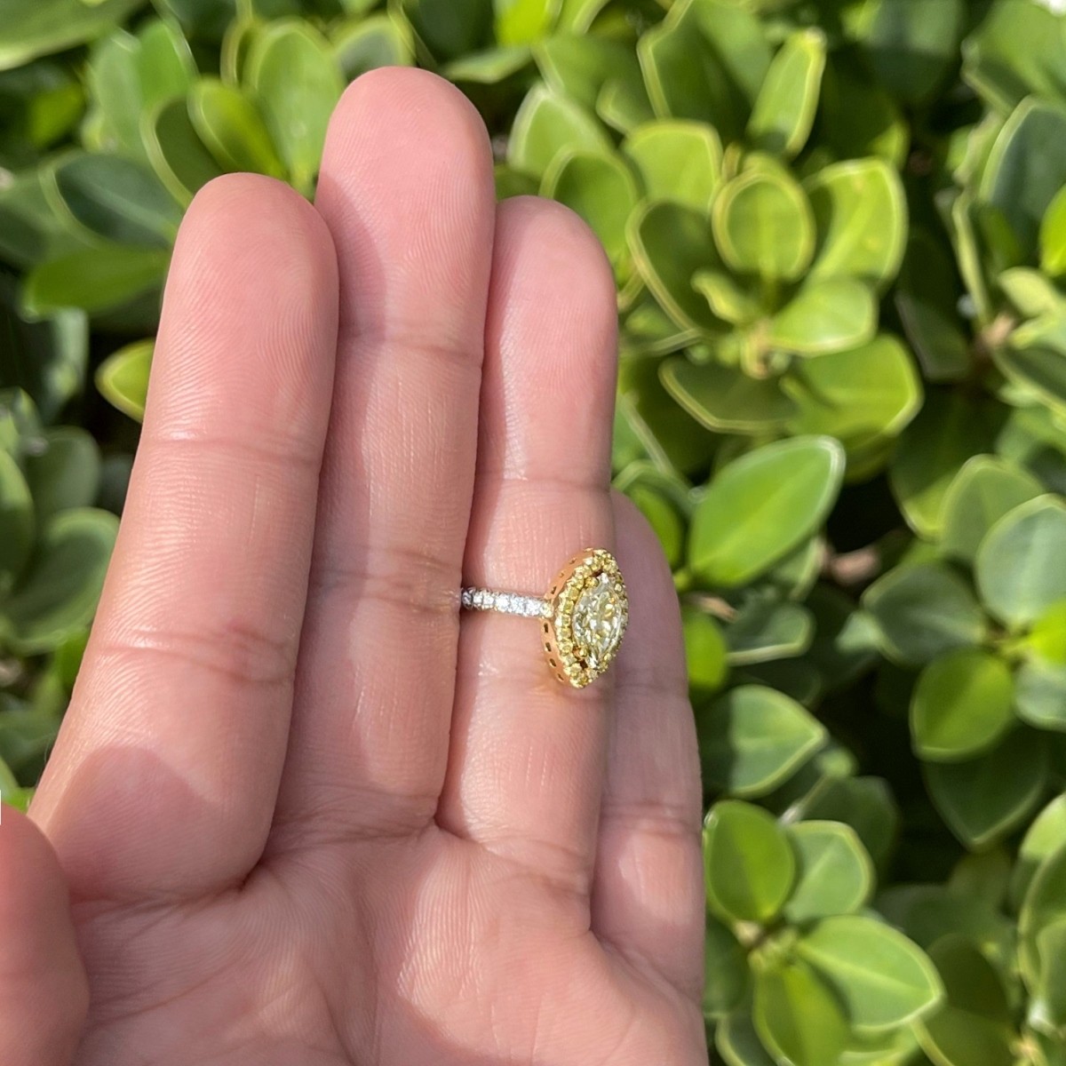 Fancy Yellow Diamond and 18K Ring