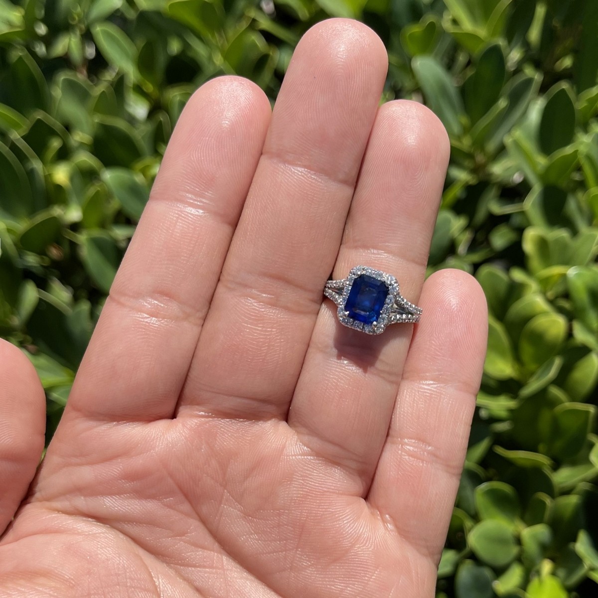 Sapphire, Diamond and Platinum Ring