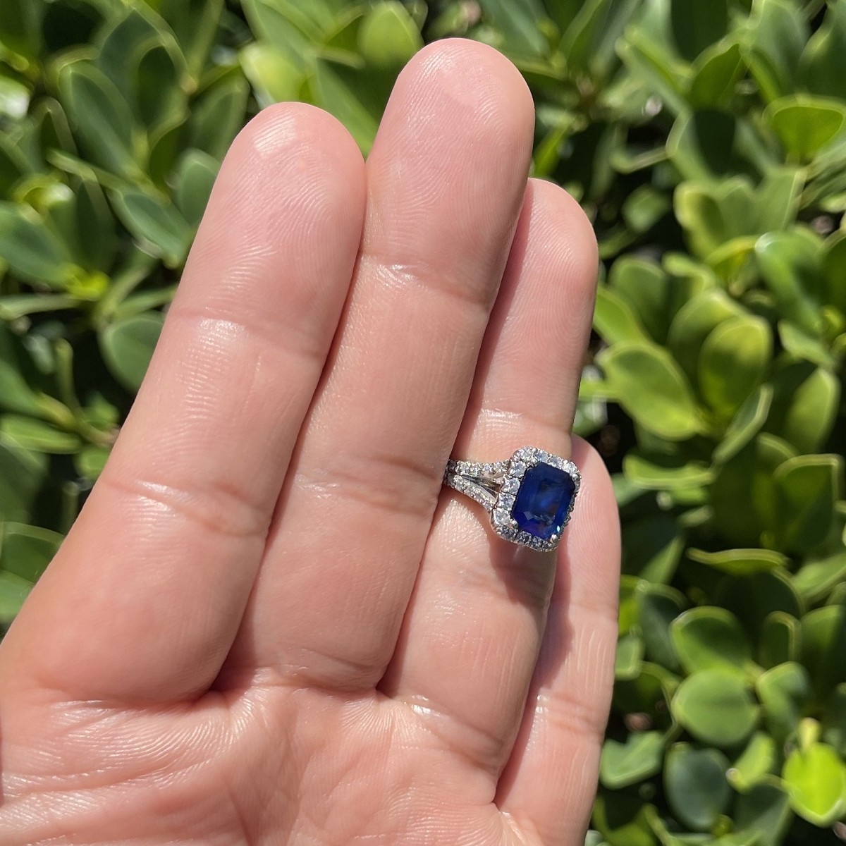 Sapphire, Diamond and Platinum Ring