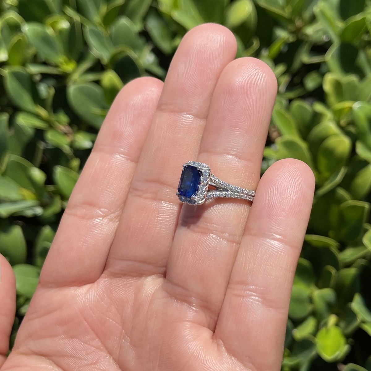 Sapphire, Diamond and Platinum Ring