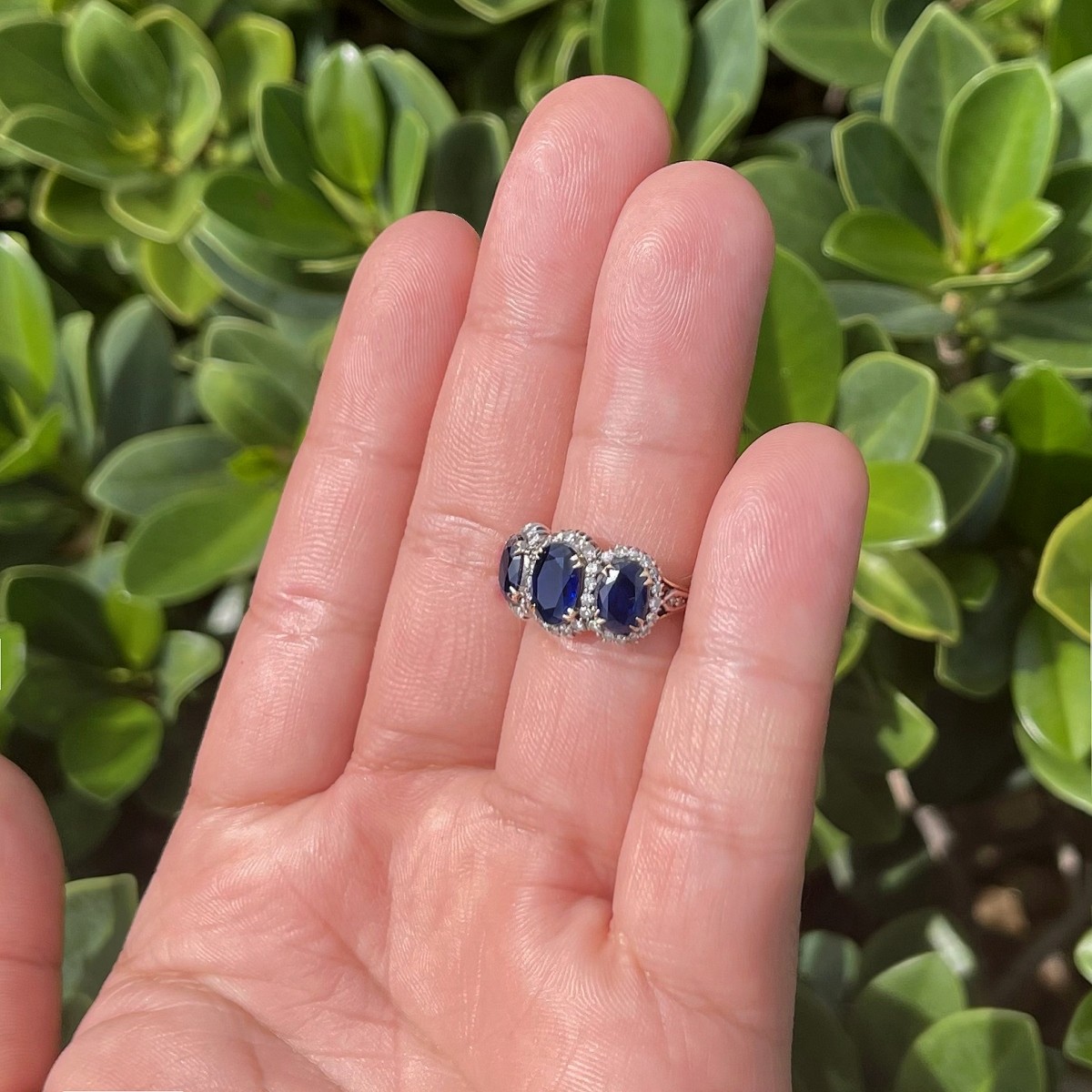 Sapphire, Diamond and 14K Ring