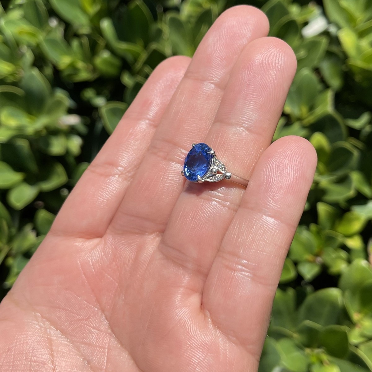 Sapphire, Diamond and 14K Ring