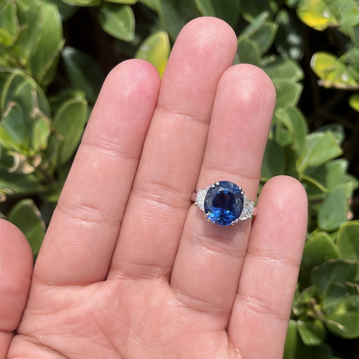 GIA Sapphire, Diamond and Platinum Ring