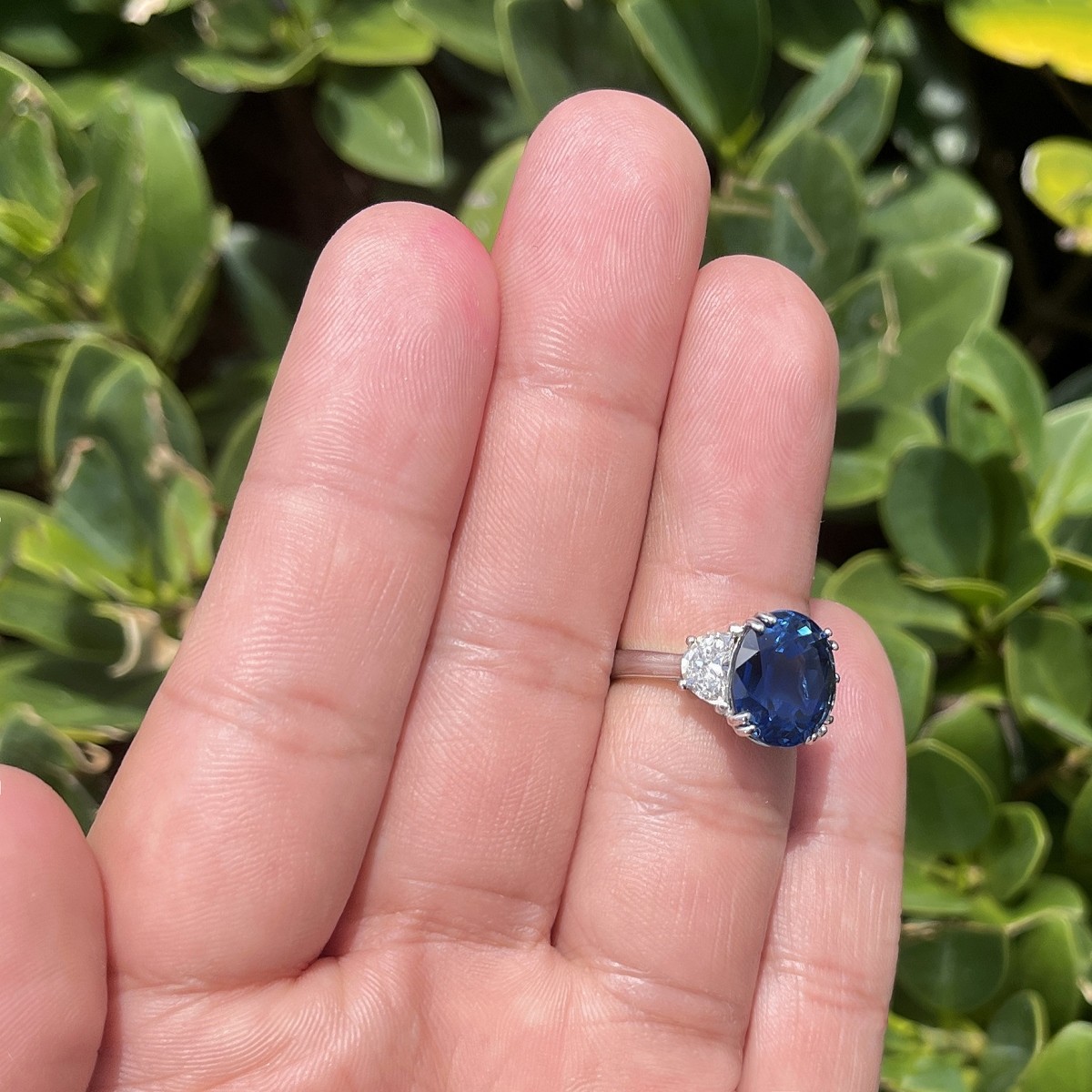 GIA Sapphire, Diamond and Platinum Ring