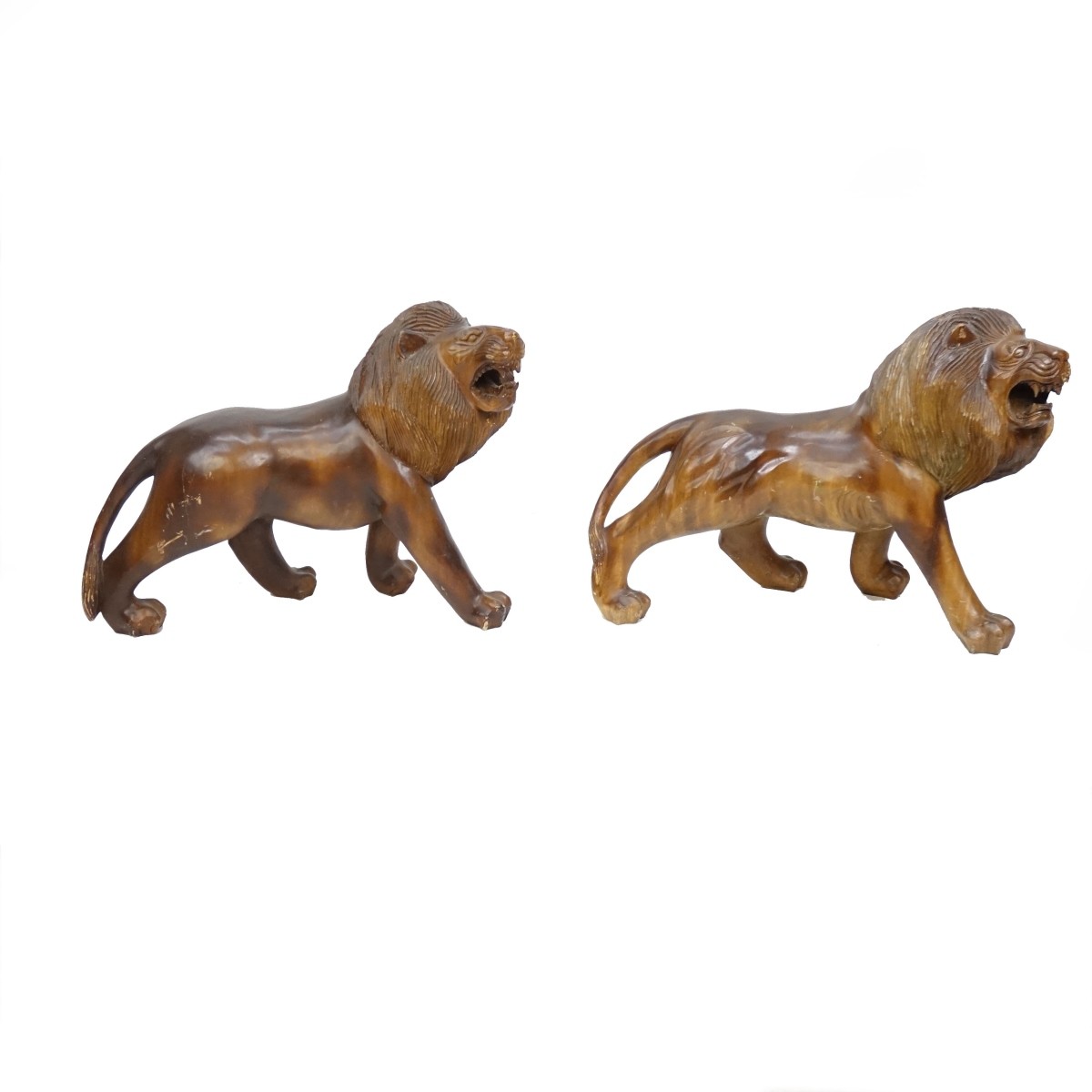 Walking Lions