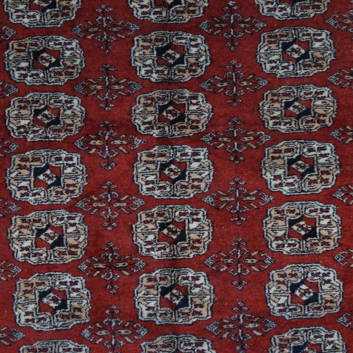 Bokhara Rug