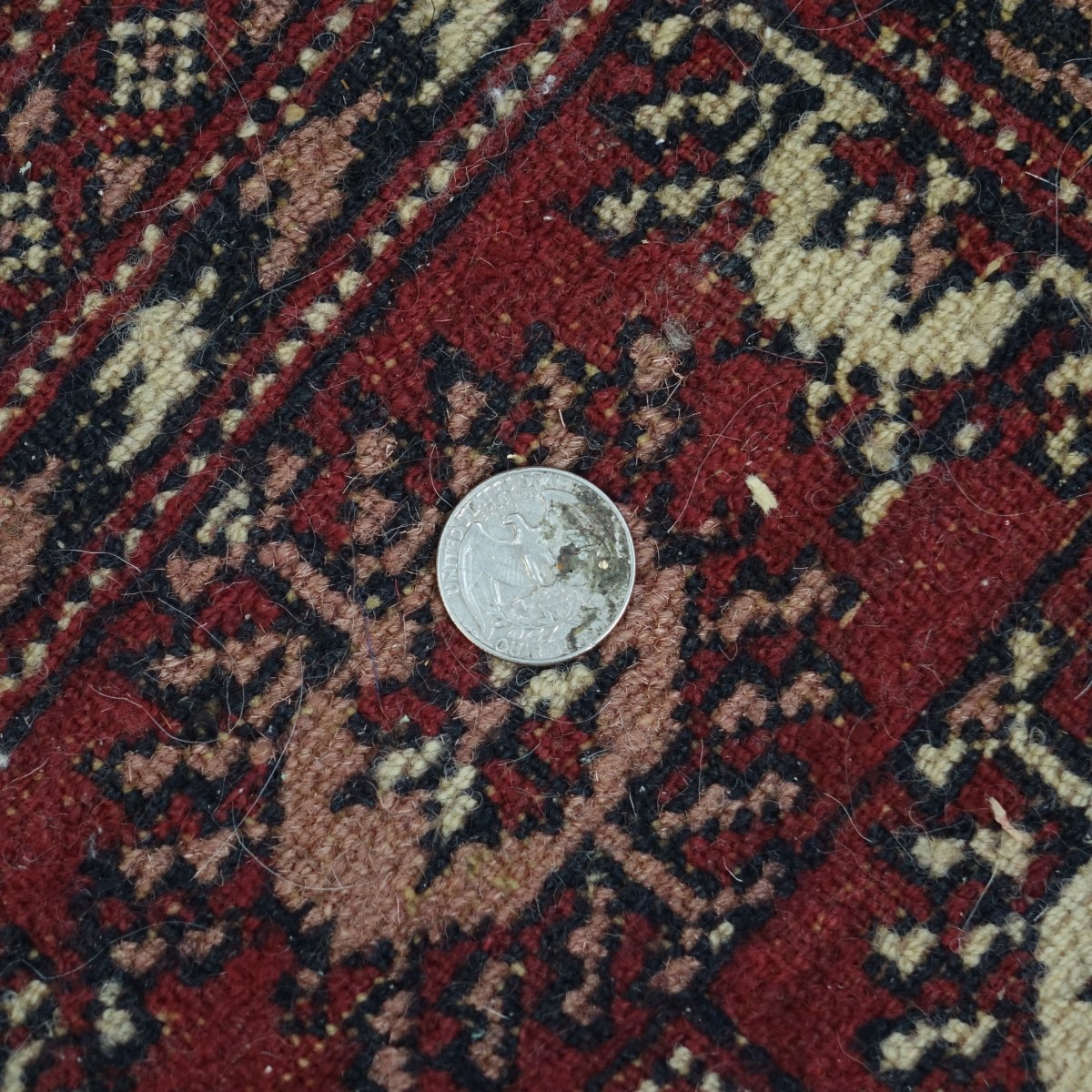 Bokhara Rug