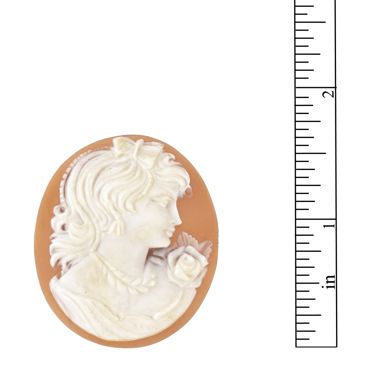 Carved Shell Cameo