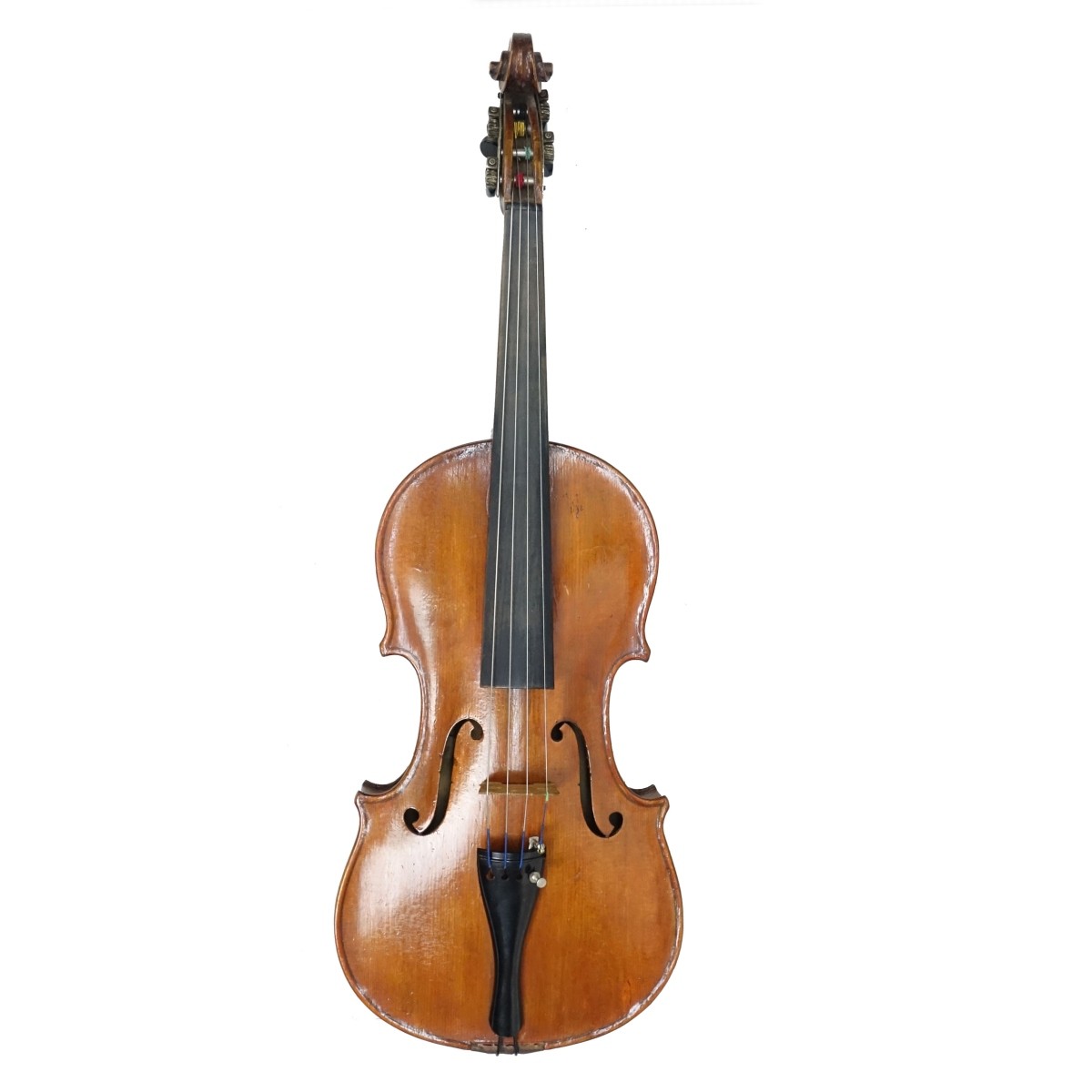 Violin