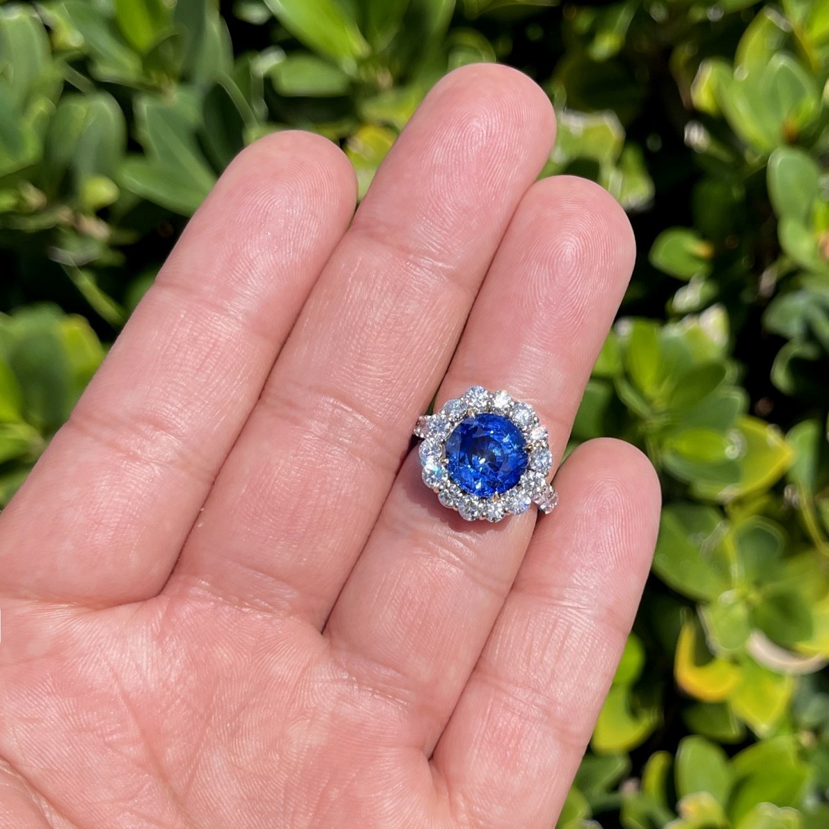 Sapphire, Diamond and Platinum Ring