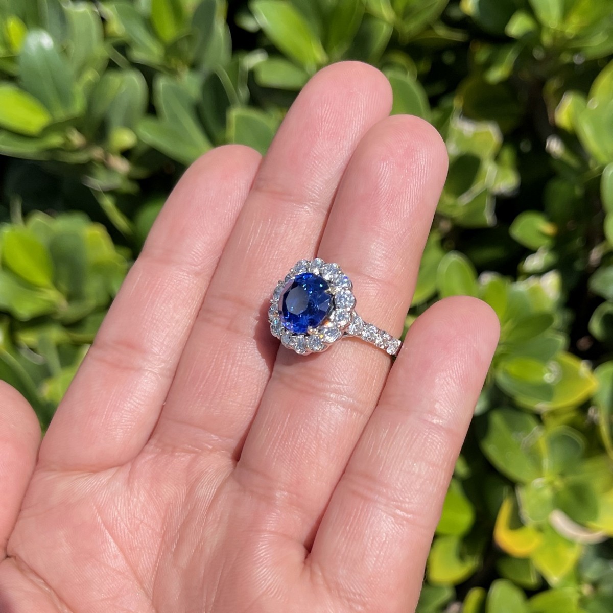 Sapphire, Diamond and Platinum Ring