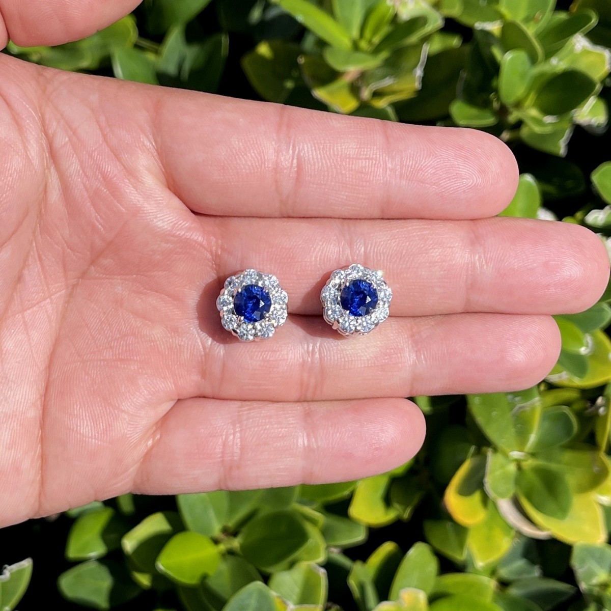 Sapphire, Diamond and Platinum Earrings