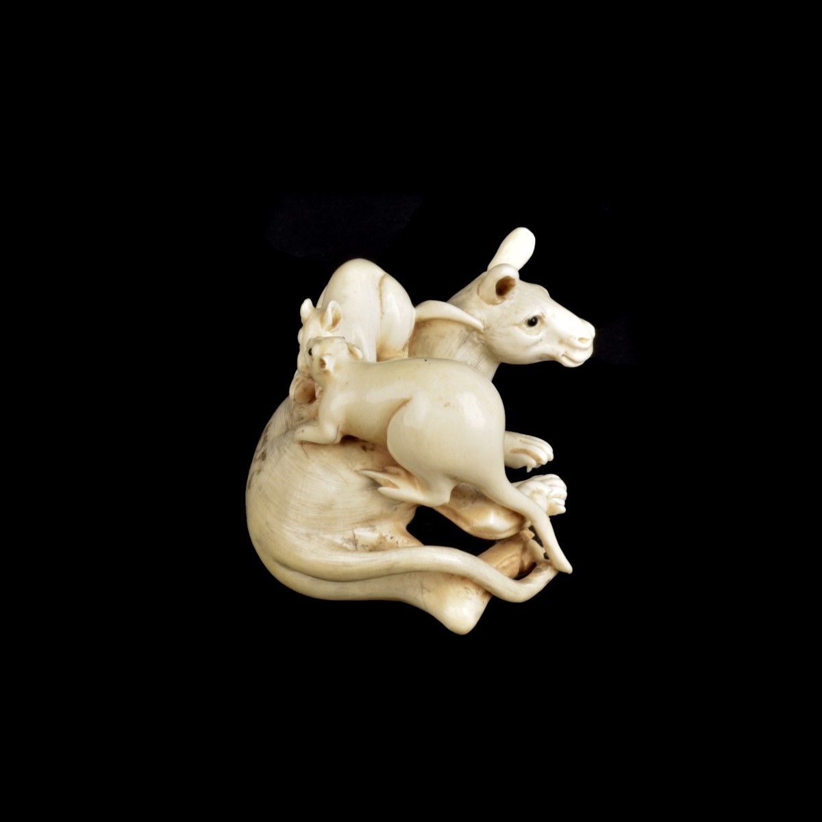 Japanese Netsuke Group