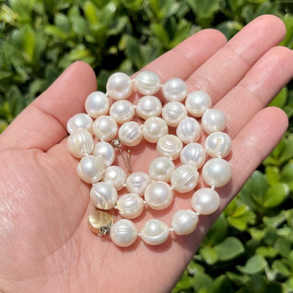 Pearl and 14K Necklace