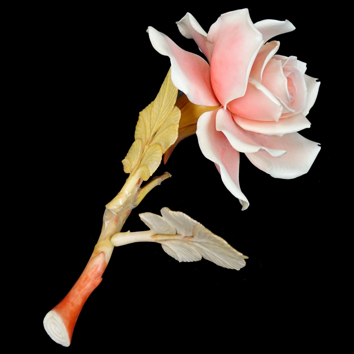 Japanese Rose Branch