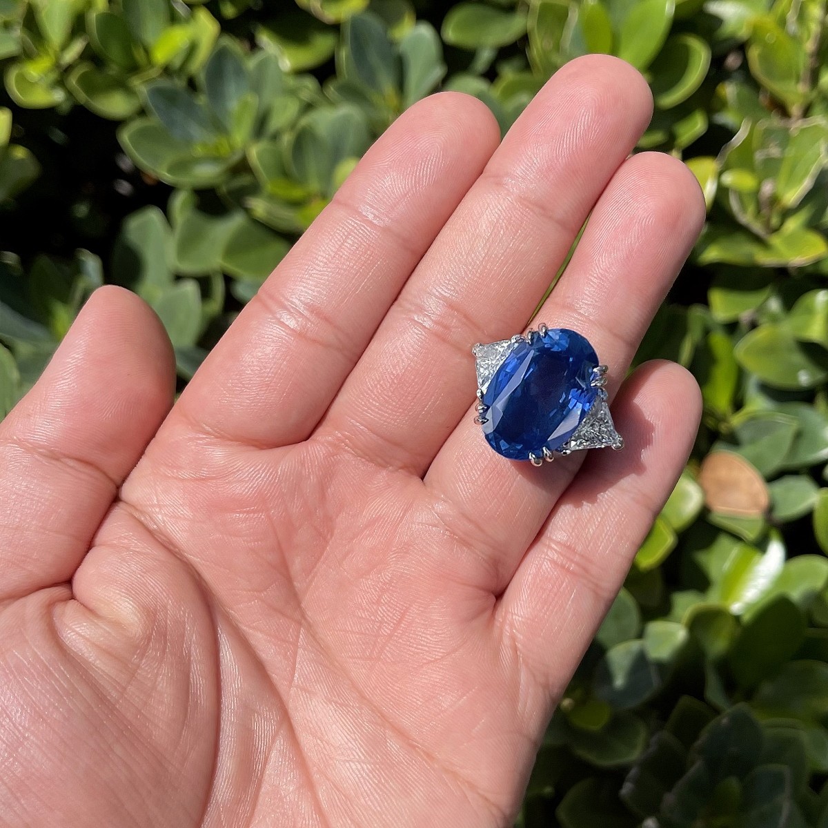 AGL 33.64 Carat Ceylon Sapphire Ring