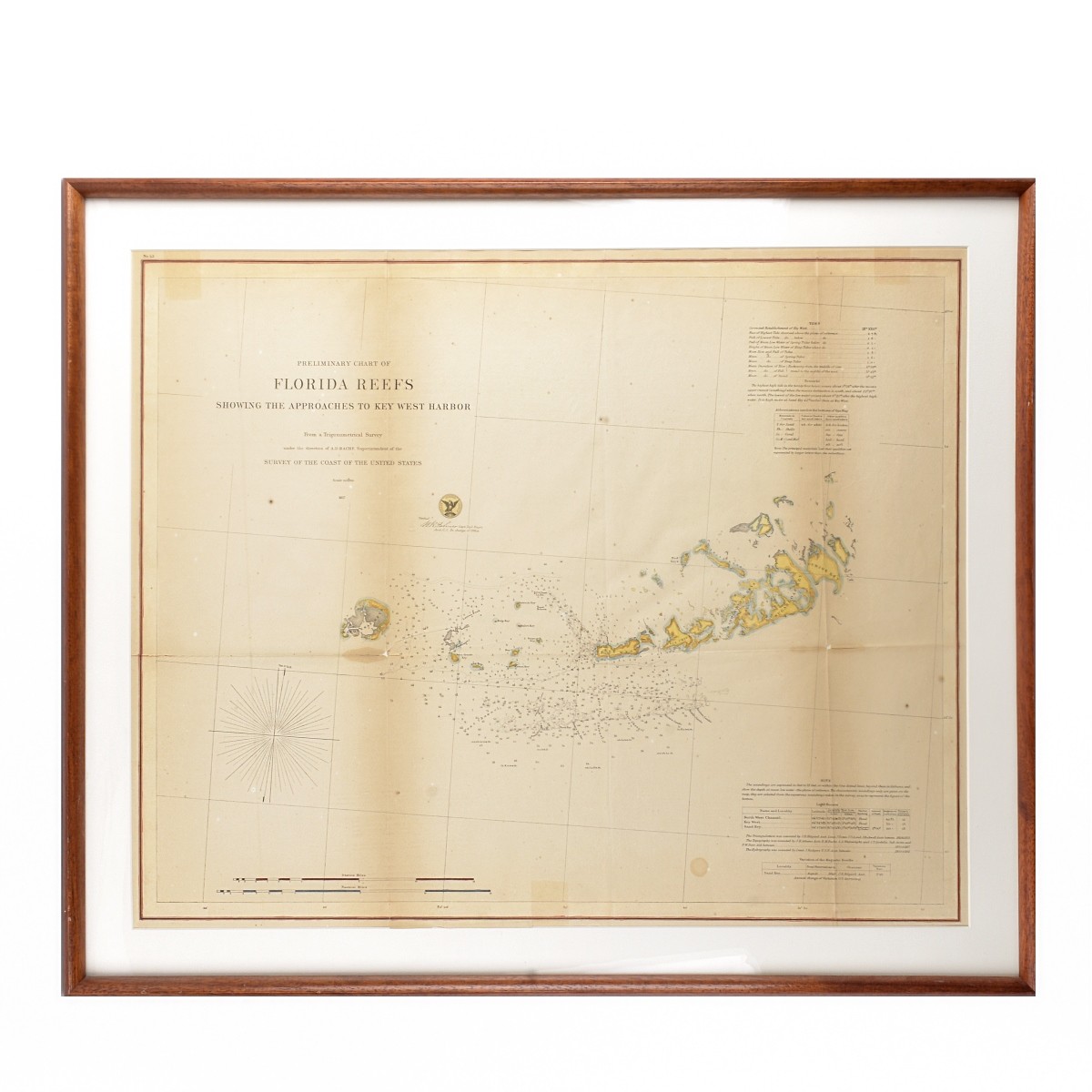 Antique Preliminary Chart of Florida Reefs
