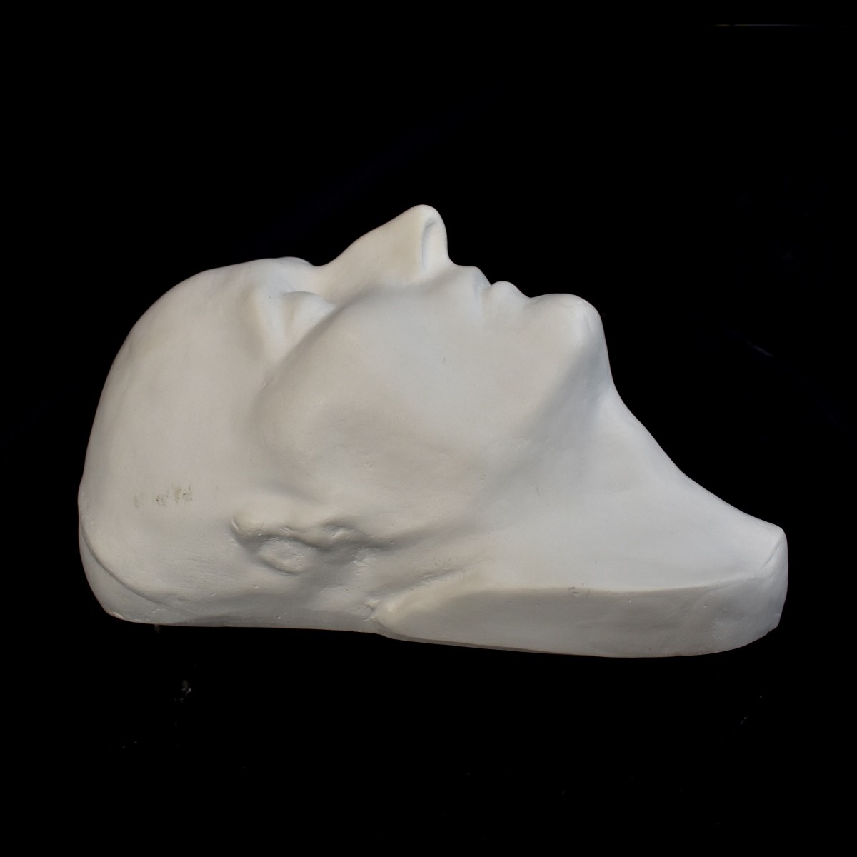 Napoleon Death Mask