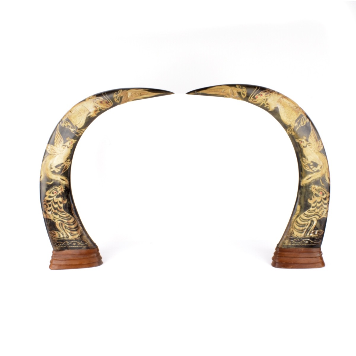 Pair of Japanese Water Buffalo Horns