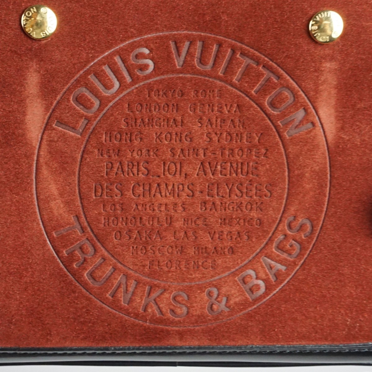 Louis Vuitton Havane Bag