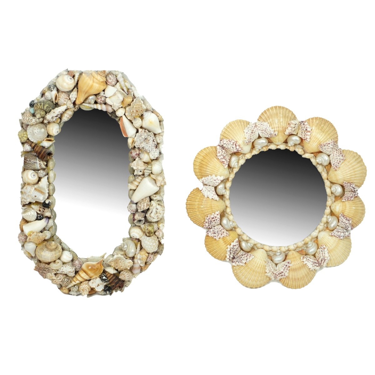 Sea Shell Mirrors