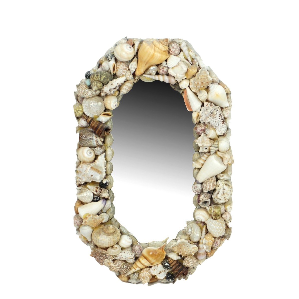 Sea Shell Mirrors