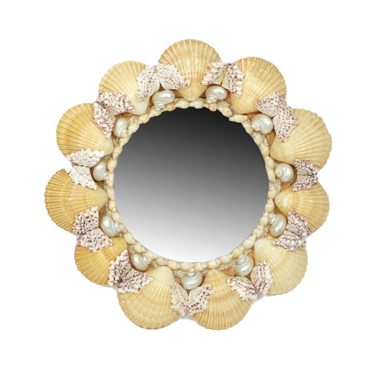 Sea Shell Mirrors