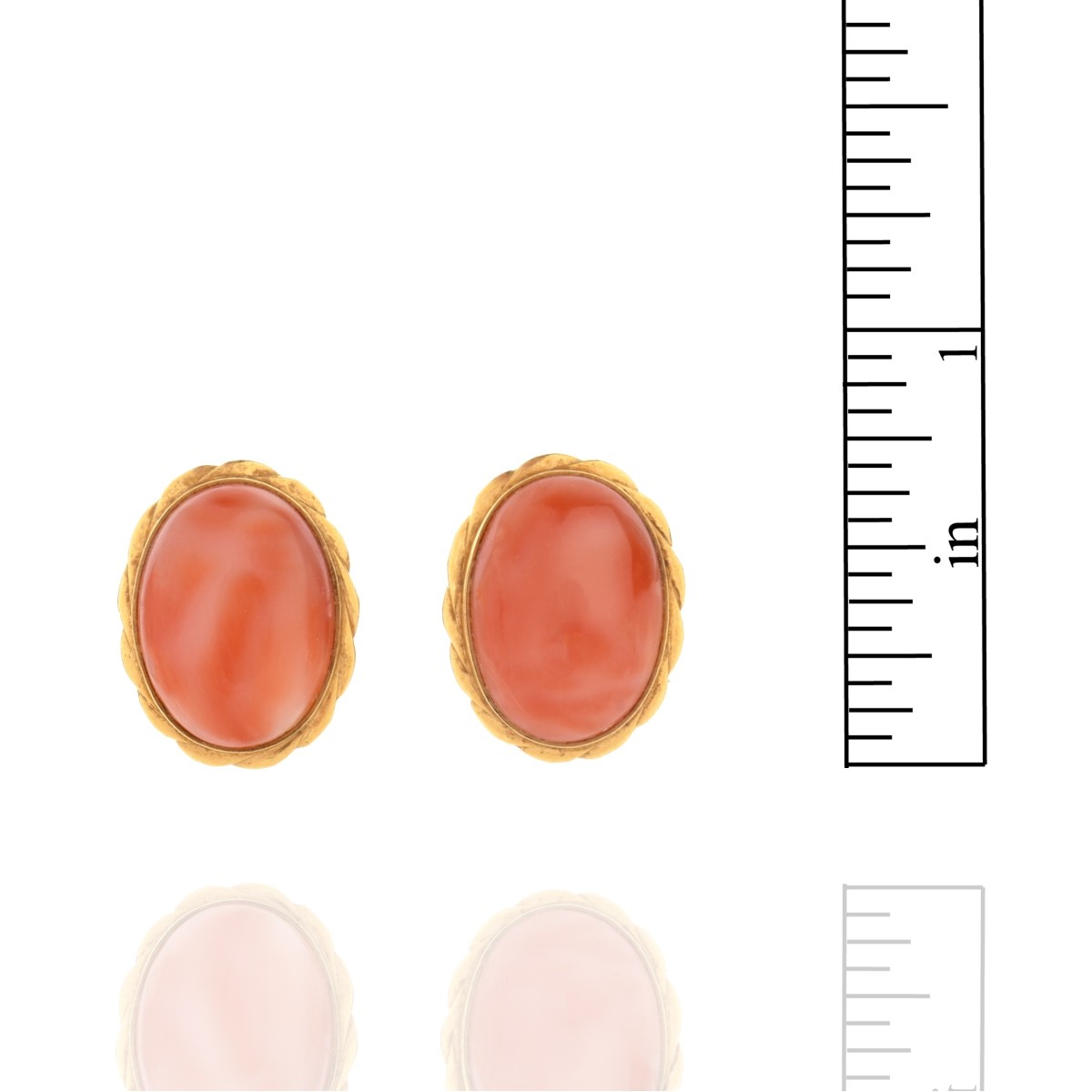 Coral and 14K Earrings