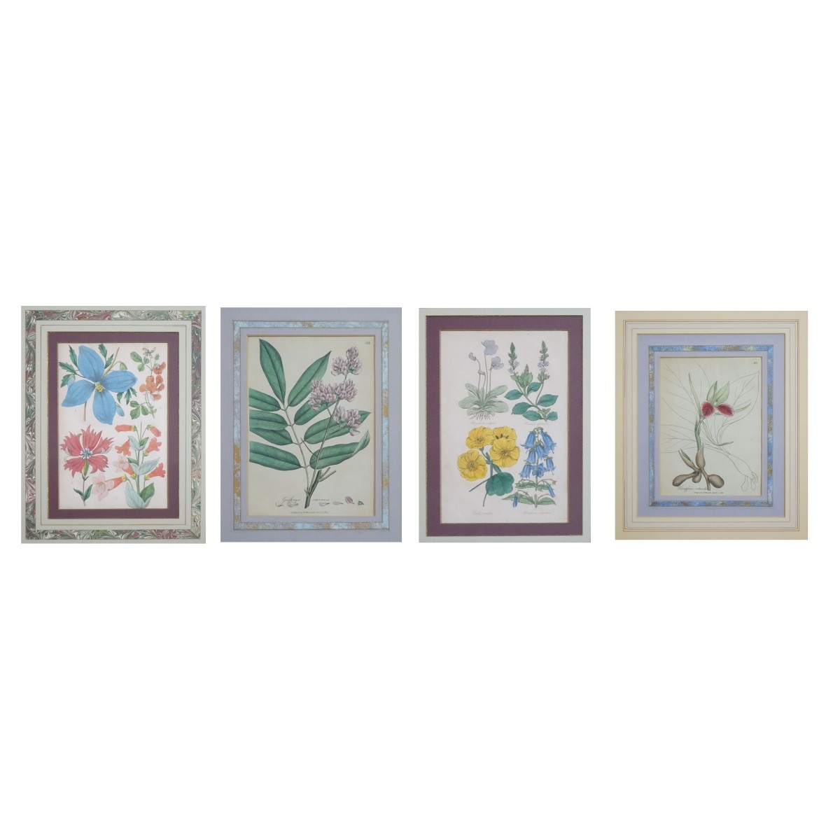 Four (4) Botanical Handcolored Engravings