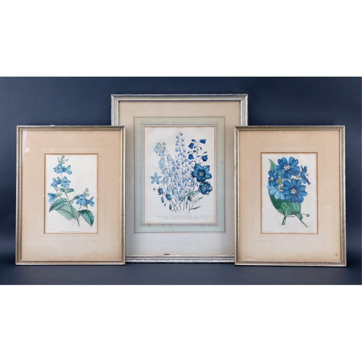 Three (3) Vintage Audubon Style Flower Prints