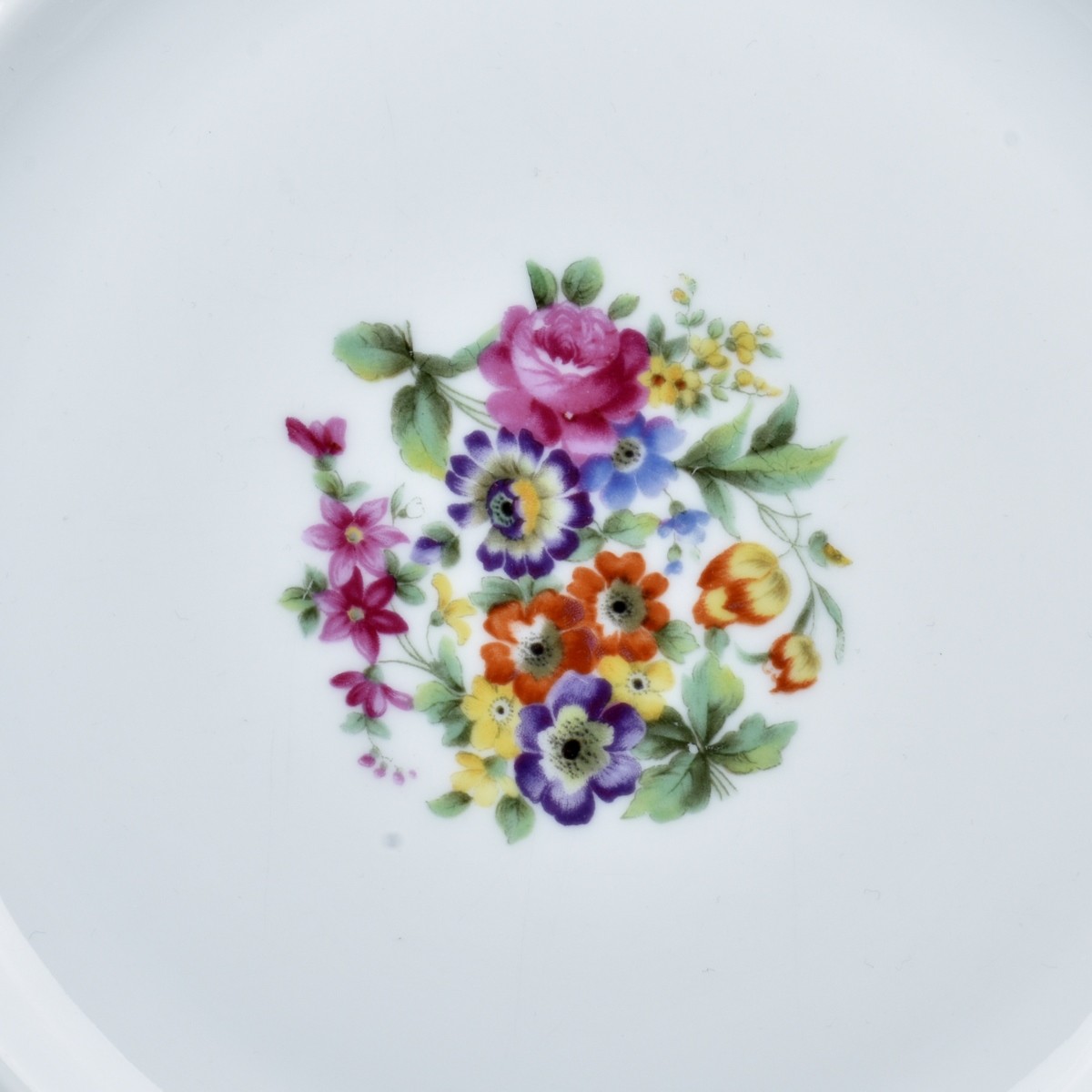 Rosenthal Dinner Service