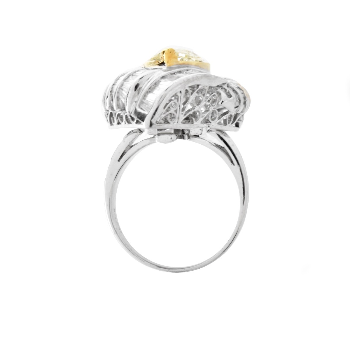 Fancy Diamond and 18K Ring / Pendant