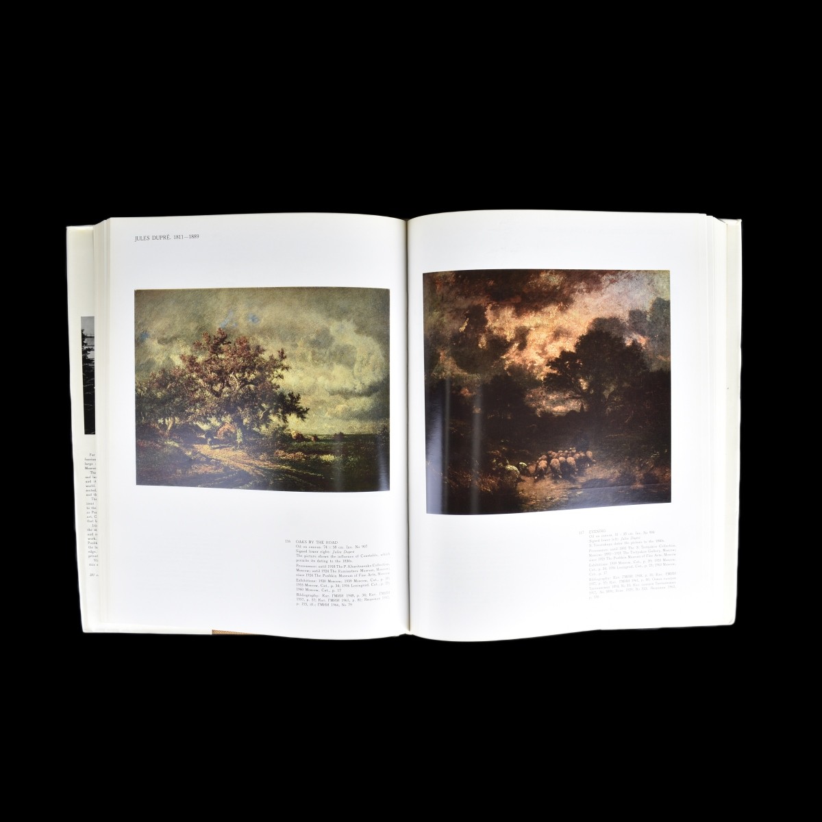 Fine Art & Design Books