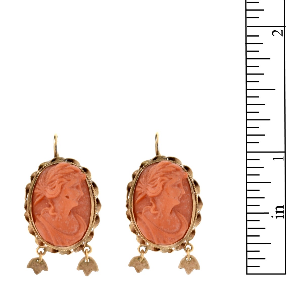 Coral and 14K Earrings