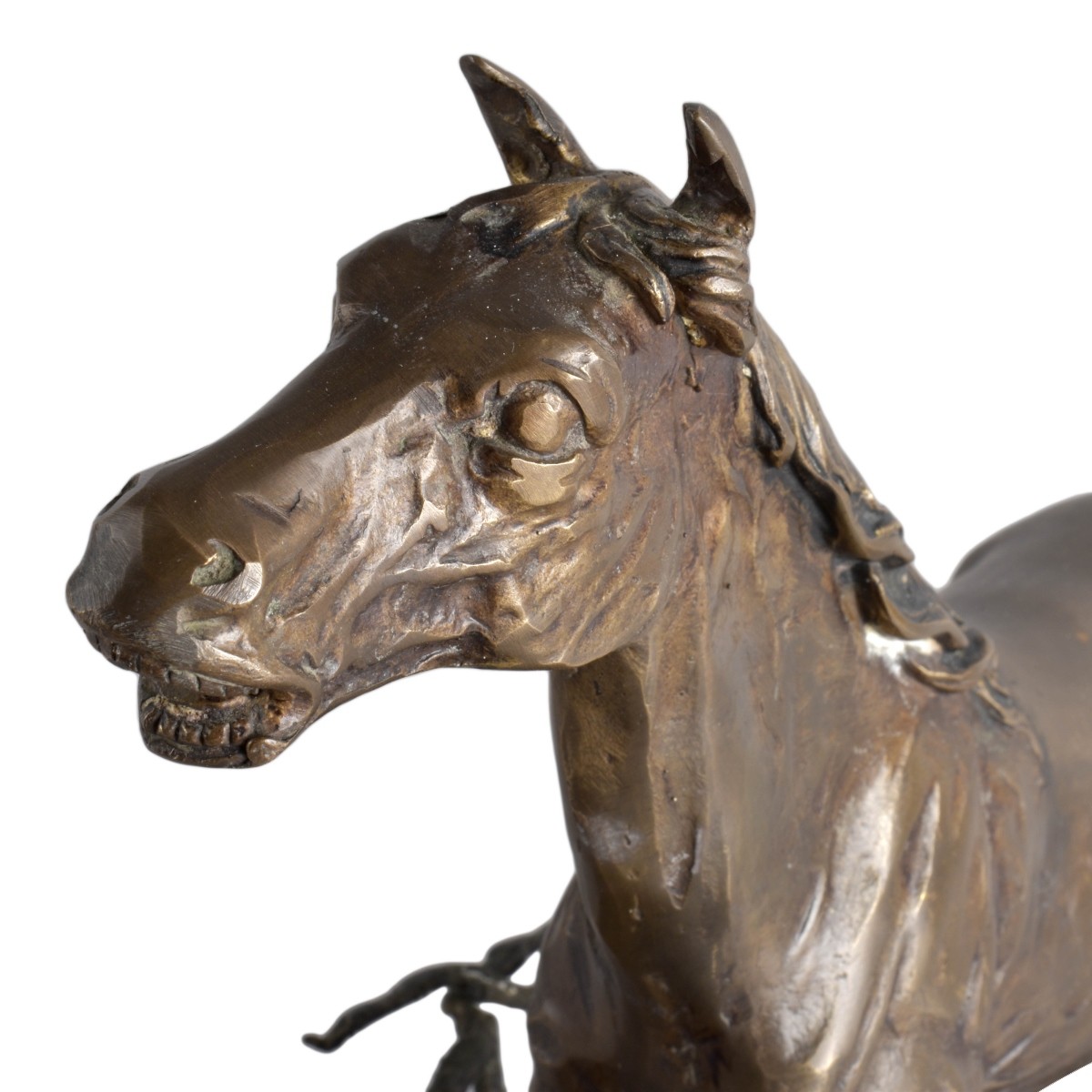 Bronze Sculpture of a Horse