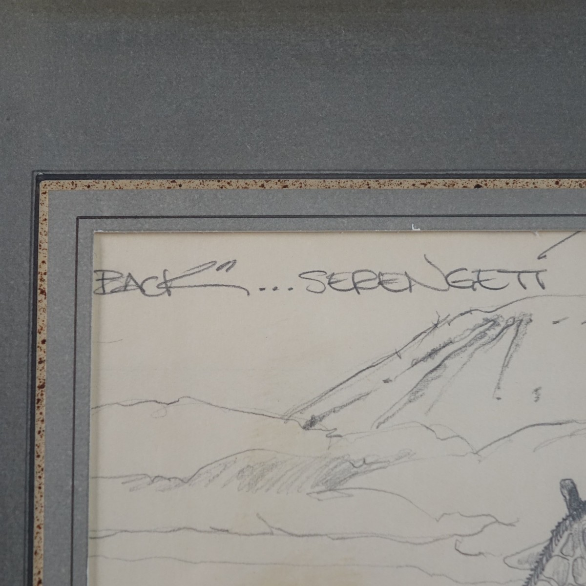 Higginbotham Wildlife Pencil Drawings '84