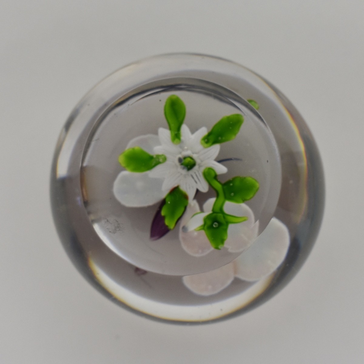 Baccarat Paperweight Butterfly on Clematis