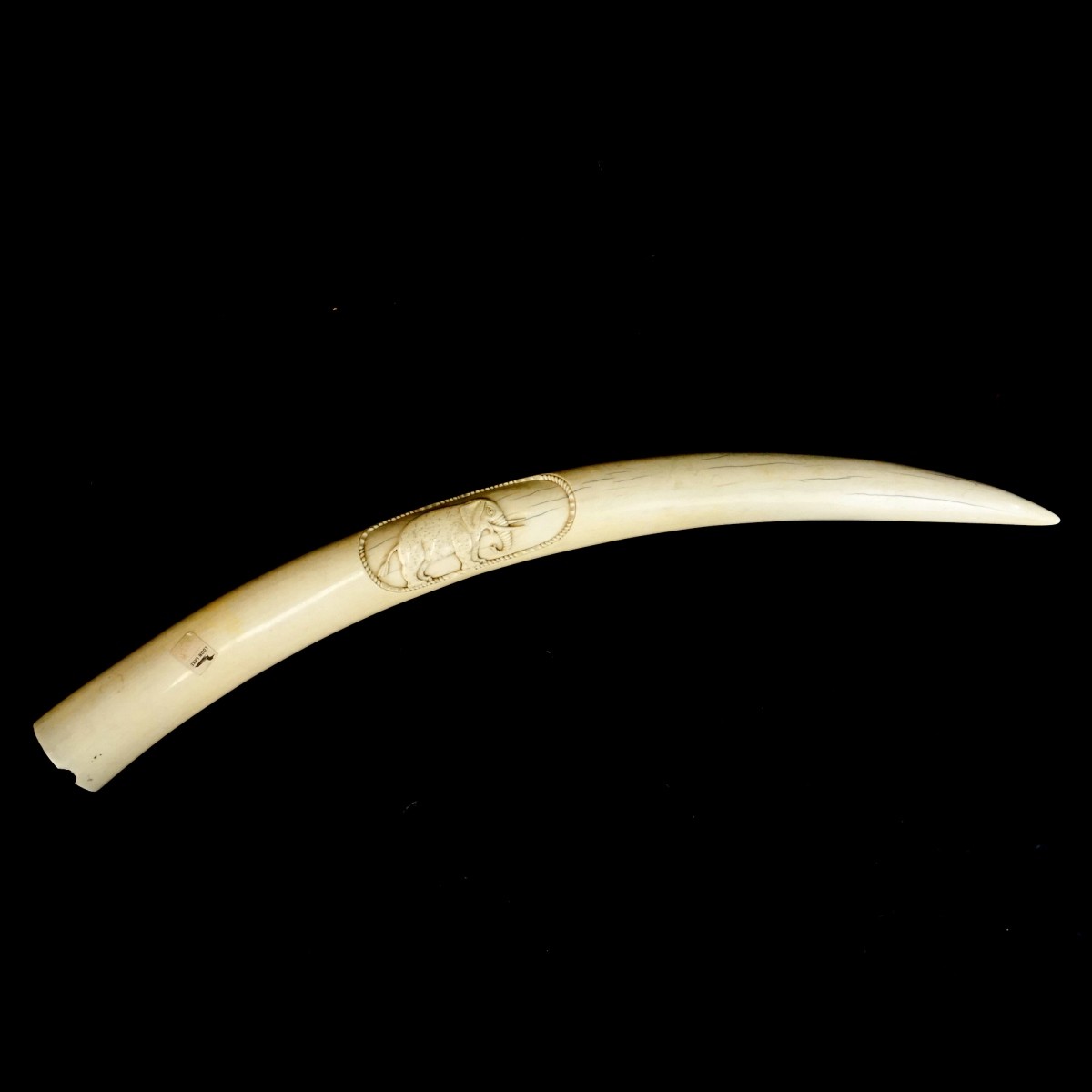 Lg African Carved Tusk