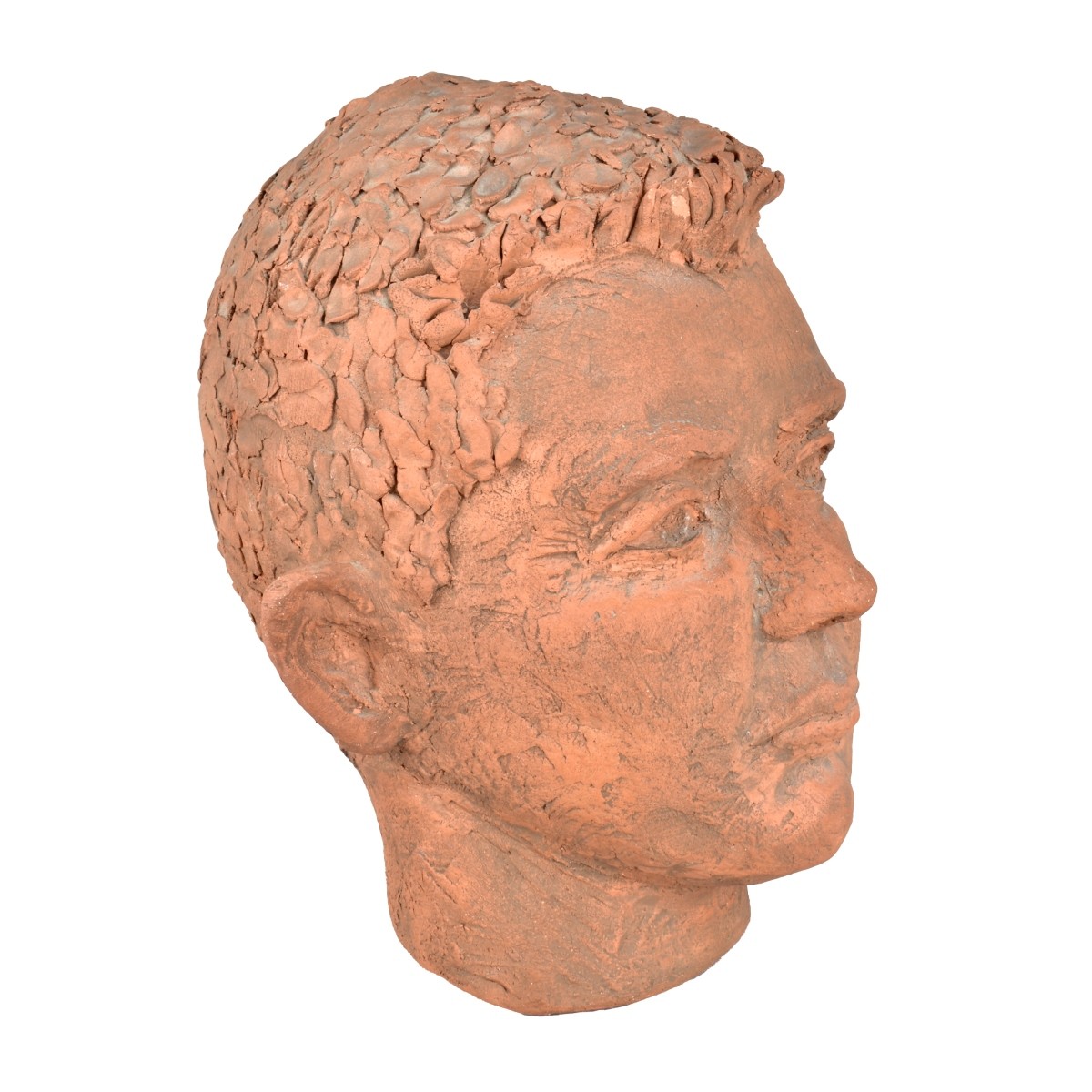 Large Terracotta Bust